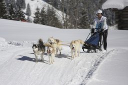 Kandersteg 2013